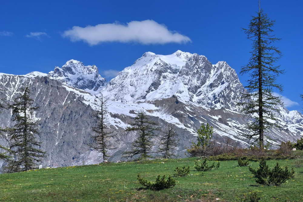 Pays des �crins - Haut massif vu du Col de la Pousterle