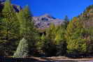 Pays des �crins - Vall�e de la Biaysse - Grand Pinier (3117 m)