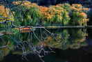 Pays des �crins - Parure d'automne � la Roche-de-Rame