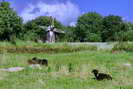 Monts d'Arre - Kerouat - Moulin  vent