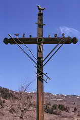 La Salle les Alpes - Clocher de l'église du Bez