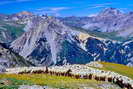 Vallée de la Clarée - Le Vallon - La Grande Chalanche - Col des Thures (2194 m) - Au fond, Mont Thabor (3178 m) et Roche Bernaude (3225 m)