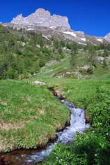 Haute Clarée -  Ruisseau de Roche Noire (v. 2000 m)