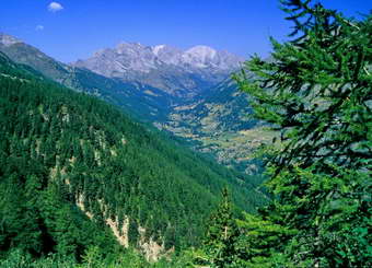 Haute Clarée - Vue générale, jusqu'à Fontcouverte - Crête du Queyrellin (2935 m) et Pointe des Cerces (3097 m)