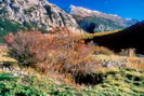 Névache - Roubion - Vestiges de construction - Pointe de Pécé (2733 m)