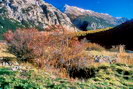 Névache - Roubion - Vestiges de construction - Pointe de Pécé (2733 m)