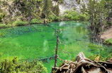 Vallée Étroite - Lac Vert / Valle Stretta - Lago Verde