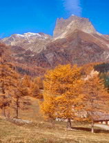 Vallée Étroite - Valle Stretta - Les Granges de la Vallée Étroite - Le Grand Séru (2888 m) - Mont Thabor (3178 m)