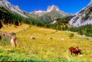 Vallée Étroite - Valle Stretta - Les Granges de la Vallée Étroite - Le Grand Séru (2888 m) - Mont Thabor (3178 m)