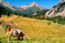 Vallée Étroite - Valle Stretta - Les Granges de la Vallée Étroite - Le Grand Séru (2888 m) - Mont Thabor (3178 m)