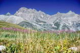 Col du Lautaret et Grand Galibier