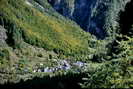 Champoléon - Les Borels (1281 m)
