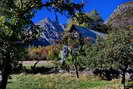 Champoléon - Les Gubias (1255 m)