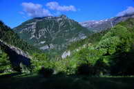 Champolon - Vallon de Mollion - Le Forest