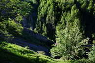 Champolon - Vallon de Mollion - Haut des Poas