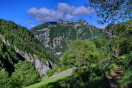 Champolon - Vallon de Mollion - Haut des Poas (1630 m)