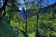 Champolon - Vallon de Mollion - Haut des Poas (1630 m)