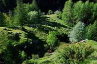 Champolon - Vallon de Mollion - Haut des Poas (1630 m)