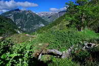 Champolon - Vallon de Mollion - Mollion (1666 m)