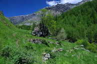 Champolon - Vallon de Mollion