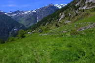 Champolon - Vallon de Mollion - Mollion (1666 m) - Vieux Chaillol (3163 m)