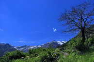 Champolon - Vallon de Mollion - Vieux Chaillol (3163 m)