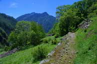 Champolon - Vallon de Mollion - Haut des Poas (1630 m)