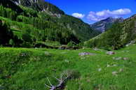 Champolon - Vallon de Mollion - Ubac de Mollion