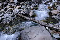 Champolon - Vallon de Mollion - Torrent de Mollion