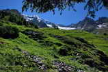 L'Alpe du Pin - Les abords du refuge