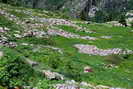 L'Alpe du Pin - Anciennes cabanes et murets