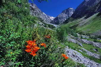 la Bérarde, la Berarde Massif des Écrins - Vallée du Vénéon - La Bérarde