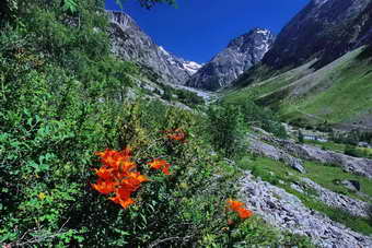 Massif des crins - Valle du Vnon - La Brarde