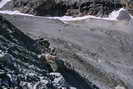 Massif des crins - Vallon et Glacier de Bonne Pierre