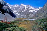 Barre des crins (4102 m) - Pr de Madame Carle