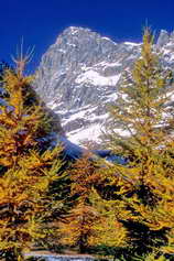 Barre des crins (4102 m) - Face sud-est, vue du Pr de Madame Carle