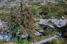 Vallon de la Lavey -Vieux pont du XVIIe sicle (1701 m) 