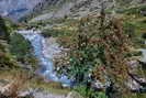 Vallon de la Lavey - Vieux pont du XVIIe sicle (1701 m) 