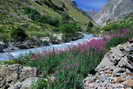 Vallon de la Lavey - En aval du vieux pont