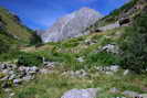 Vallon de la Lavey - La Grande Jasse (1672 m)