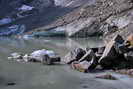 Vallon de la Lavey - Lac de la Muande (2380 m)