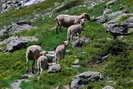 Vallon de la Mariande