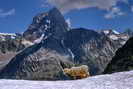 Vallon de la Mariande - Aiguille du Plat de la Selle (3596 m)