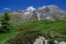 Travers des Lacs - Plat de la Selle et son aiguille (3596 m)