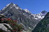 Massif des crins - Vallon des  tages