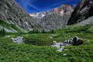 Massif des crins - Vallon des tages