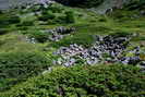 Massif des crins - Vallon des tages