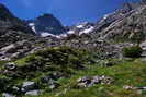 Massif des crins - Vallon des tages