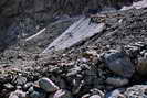 Massif des crins - Vallon des tages