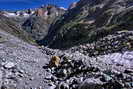 Massif des crins - Vallon des tages